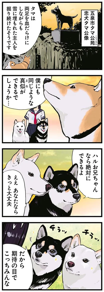 『世界の終わりに柴犬と4』より