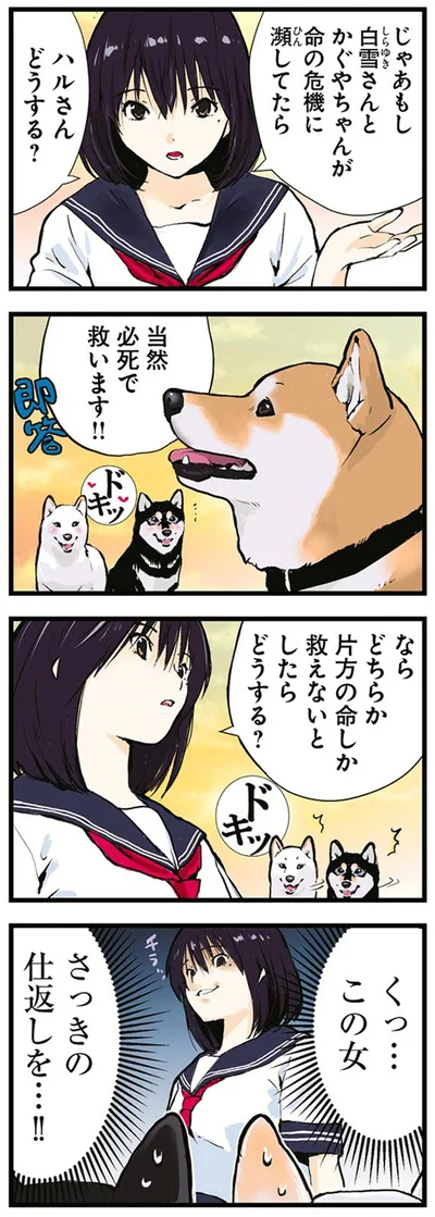 『世界の終わりに柴犬と4』より