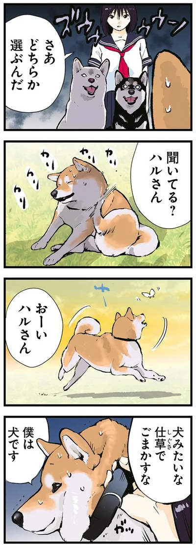 『世界の終わりに柴犬と4』より