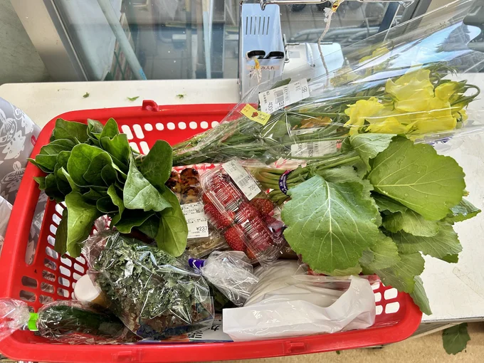 レジカゴいっぱいの野菜や切り花を、保冷トートに入れてみると…