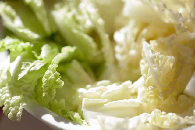 野菜が高くなる中でお買い得品は？ 9月上旬は、はくさい、だいこん、にんじんの3種がおすすめ