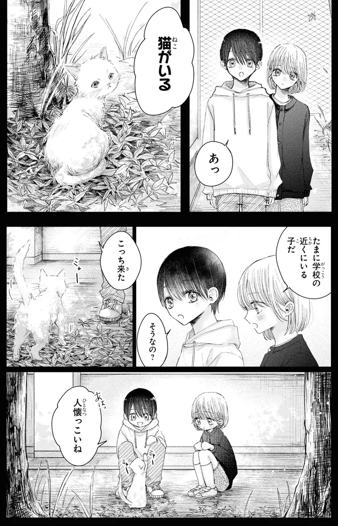 猫がいる