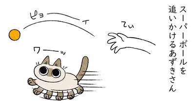 スーパーボールを追いかける猫