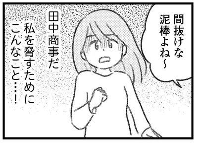 間抜けな泥棒よね～