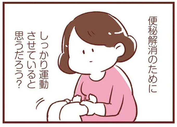 しっかり運動させていると思うだろう？