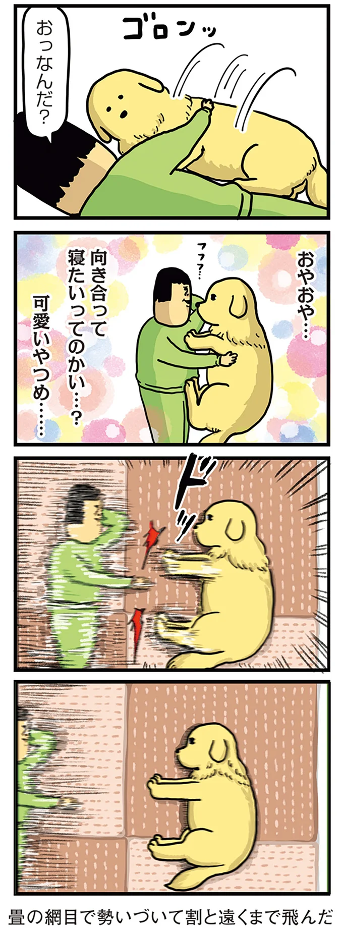 割と遠くまで飛んだ