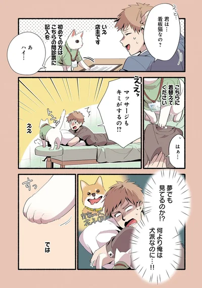 夢でも見てるのか！？