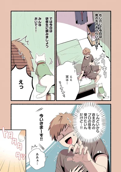 『ねこのマッサージ屋さん』より