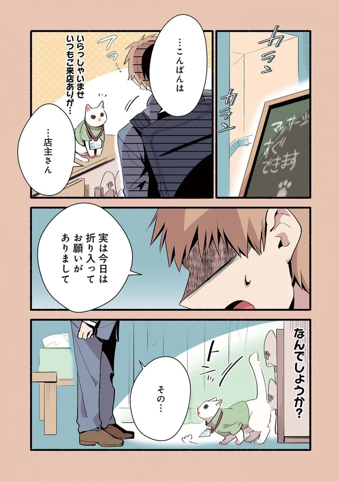 『ねこのマッサージ屋さん』より