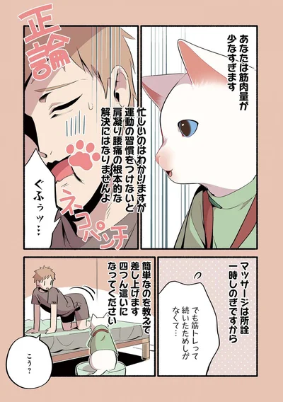 『ねこのマッサージ屋さん』より