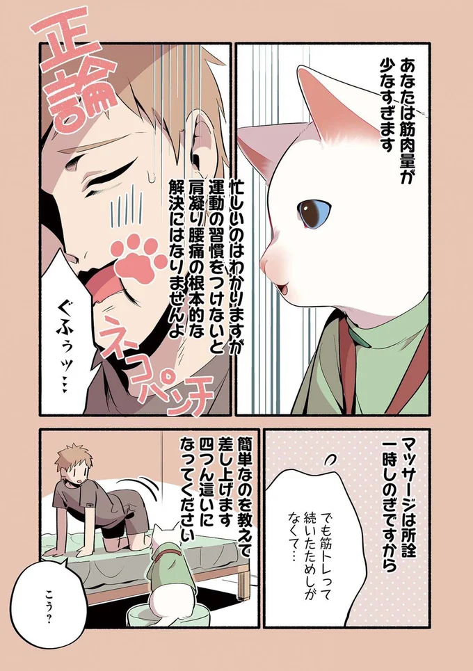 『ねこのマッサージ屋さん』より