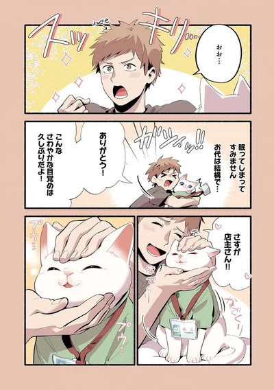 『ねこのマッサージ屋さん』より