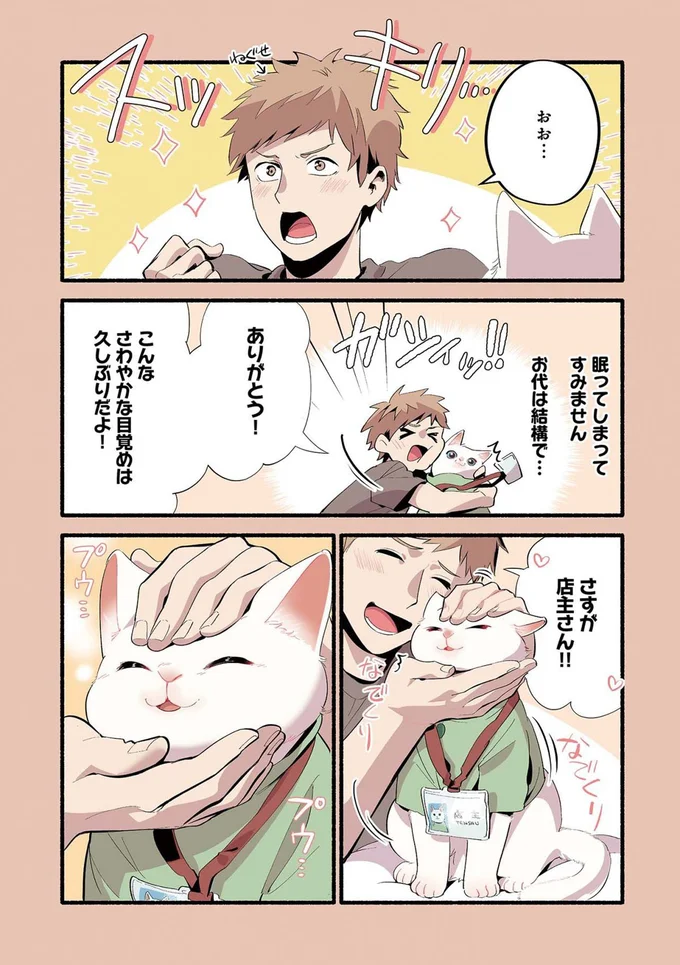 『ねこのマッサージ屋さん』より