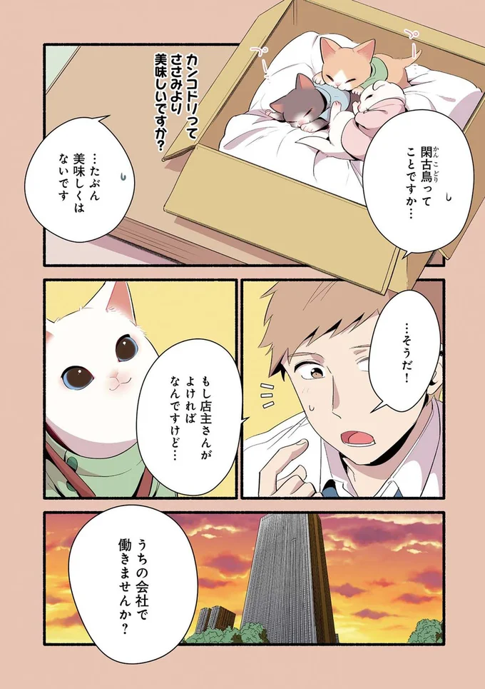 『ねこのマッサージ屋さん』より