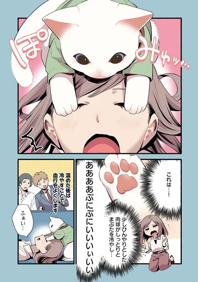『ねこのマッサージ屋さん』より