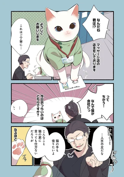 『ねこのマッサージ屋さん』より