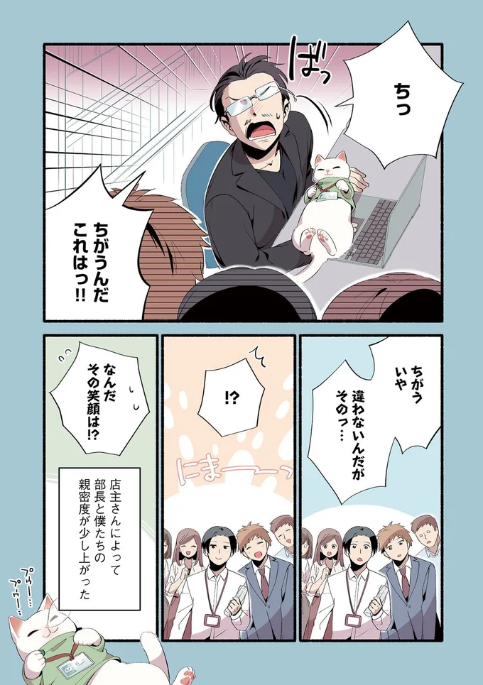 『ねこのマッサージ屋さん』より