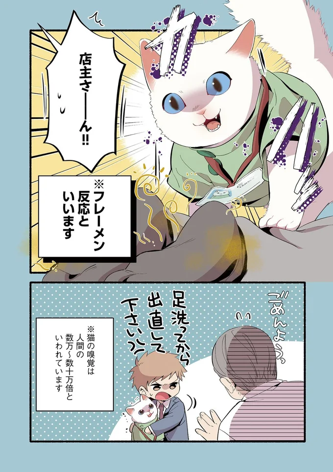 『ねこのマッサージ屋さん』より