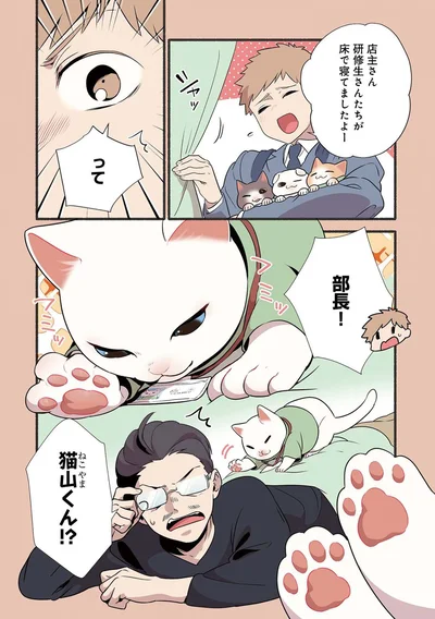 『ねこのマッサージ屋さん』より