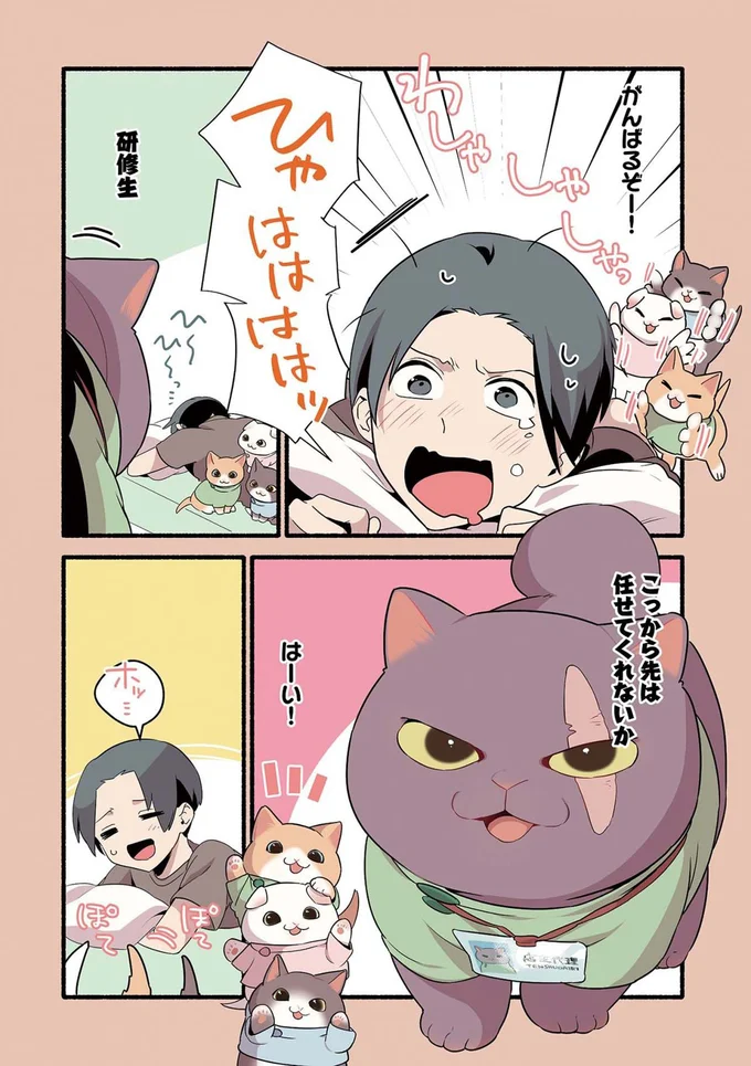 『ねこのマッサージ屋さん』より