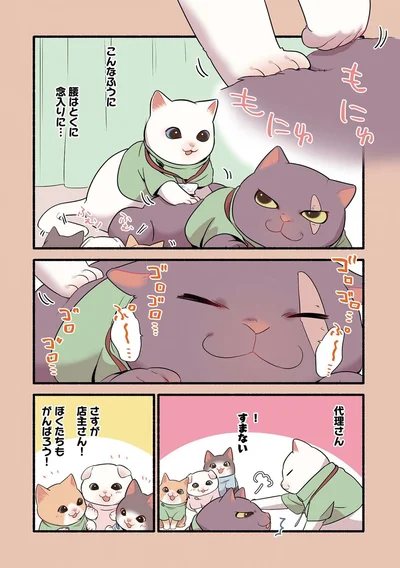 『ねこのマッサージ屋さん』より