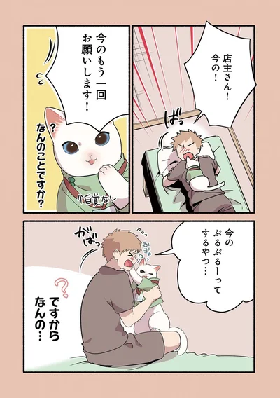 『ねこのマッサージ屋さん』より