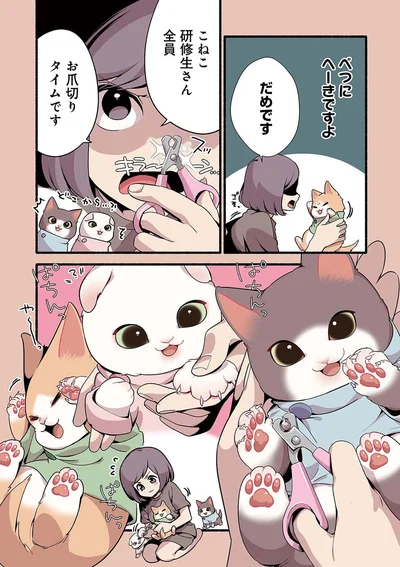 『ねこのマッサージ屋さん』より