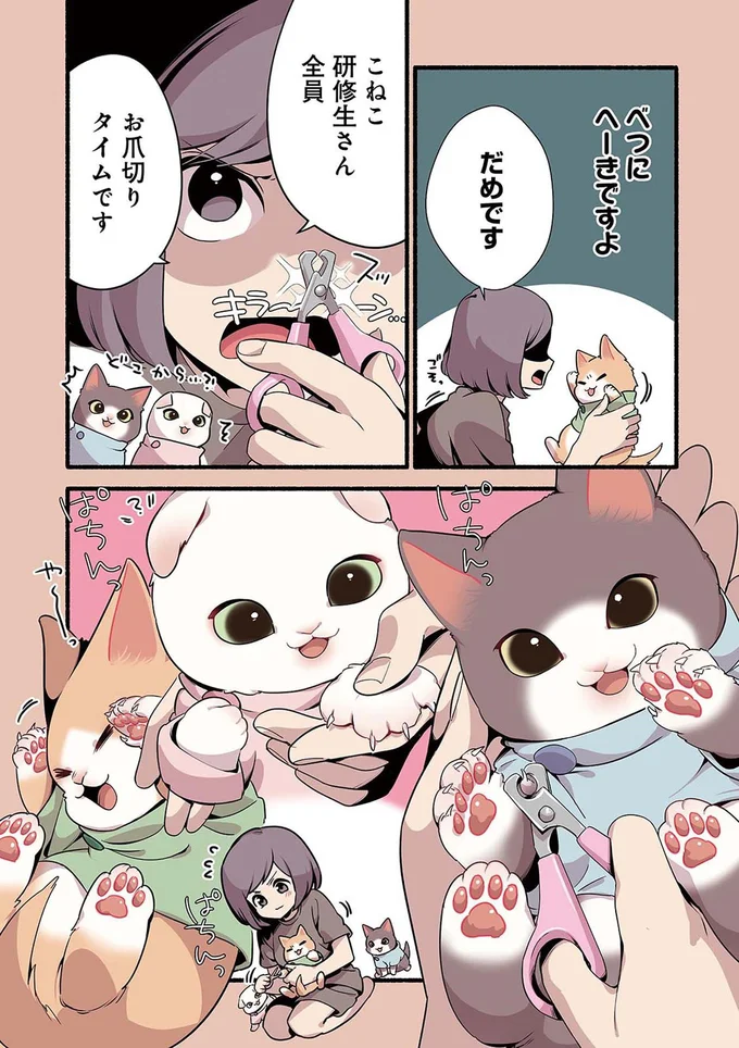 『ねこのマッサージ屋さん』より