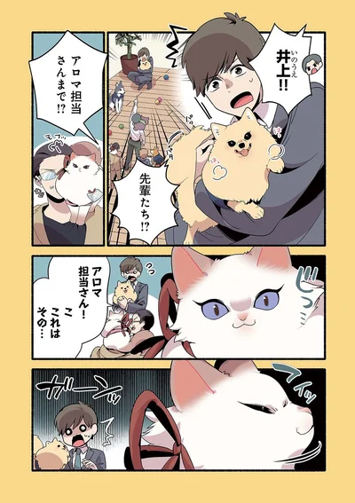 『ねこのマッサージ屋さん』より
