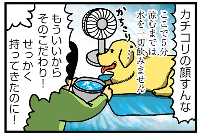 もういいからそのこだわり！