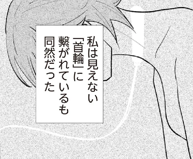 「扉の向こうに誰かいる。 男たちがずっと私を監視しています」より