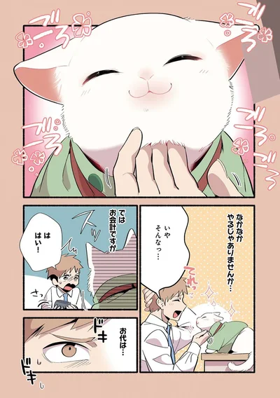 なかなかやるじゃありませんか