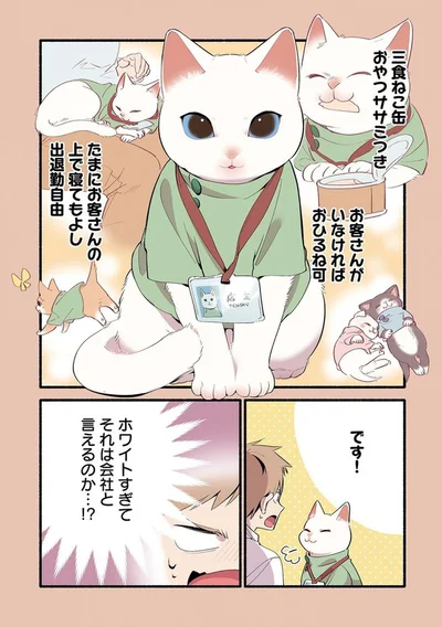 ホワイトすぎてそれは会社と言えるのか！？