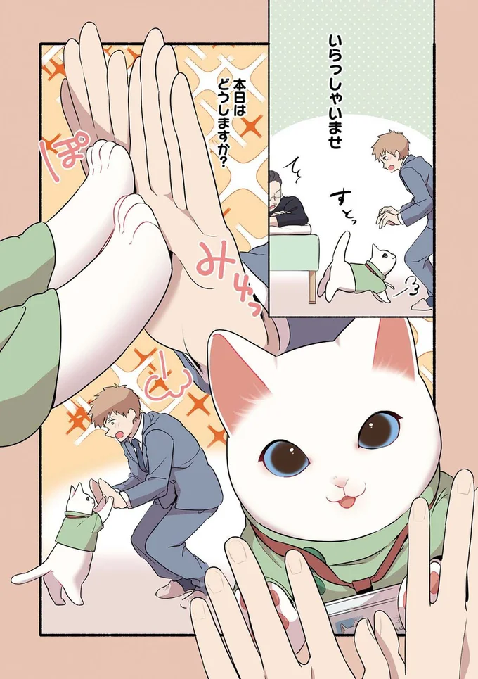 本日はどうしますか？