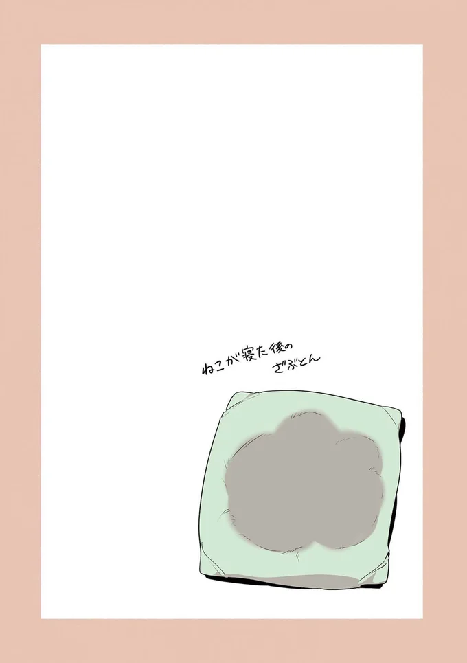 ねこが寝た後のざぶとん
