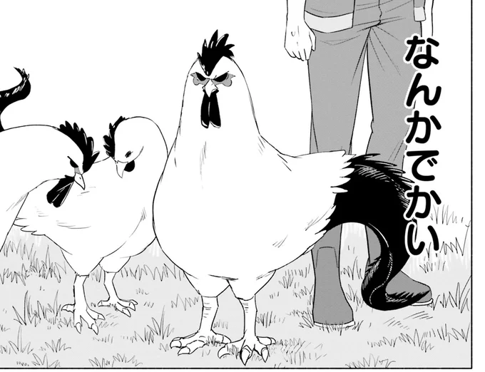 なんかでかい