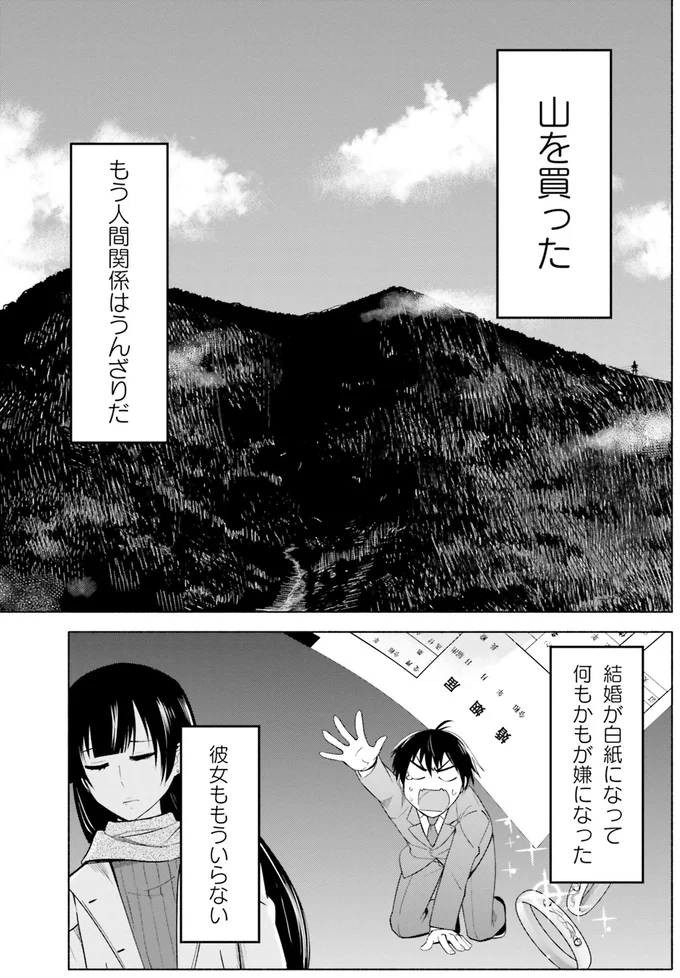 山を買った