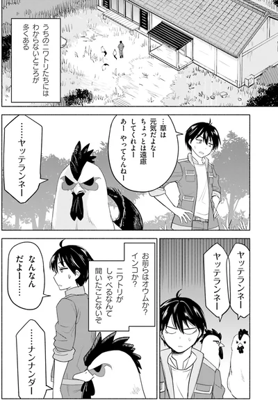 『前略、山暮らしを始めました。 1』より