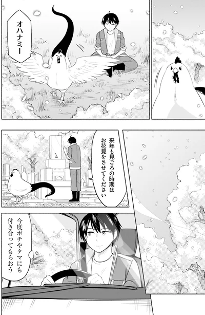 お花見をさせてください