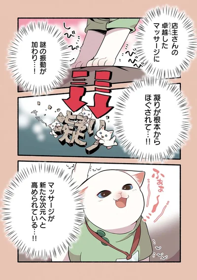 マッサージが新たな次元へと高められている！！
