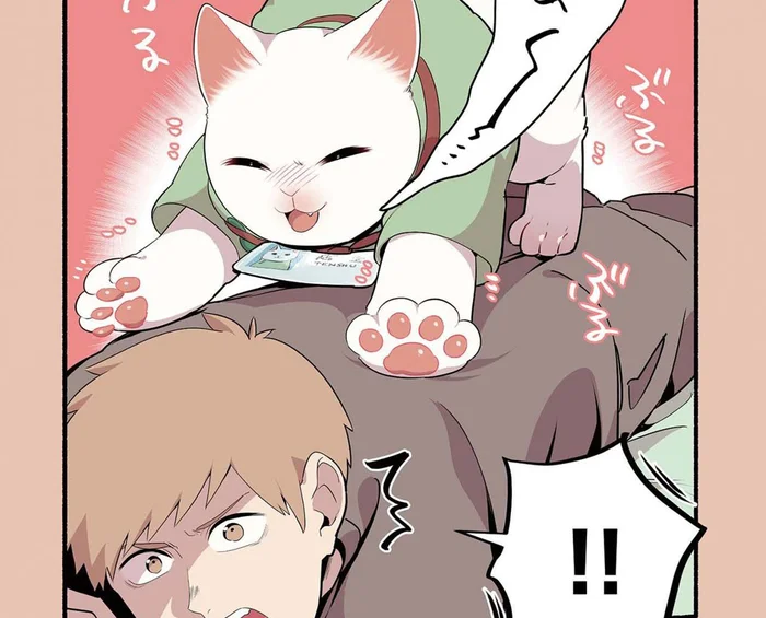 運が良ければ受けられる？ ねこ店主のぶるぶるマッサージ／ねこのマッサージ屋さん（15）