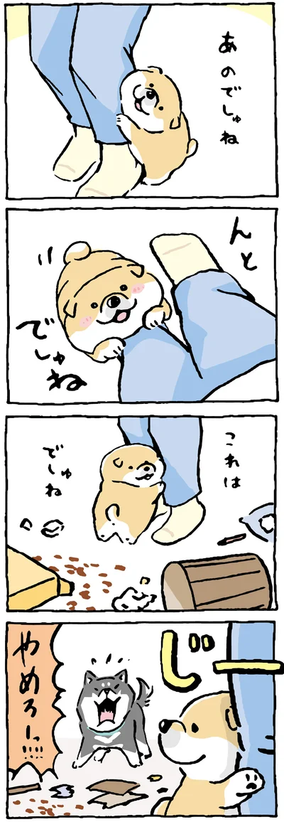帰宅すると
