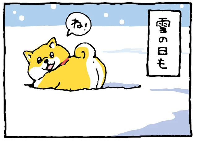 「散歩って楽しいよね!!」振り返って確認してくる柴犬が超キュート！／しばんばん2（4）
