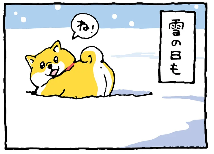 「散歩って楽しいよね!!」振り返って確認してくる柴犬が超キュート！／しばんばん2（4）