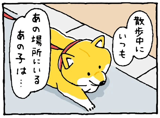 散歩中に気になる子を見つけた柴犬