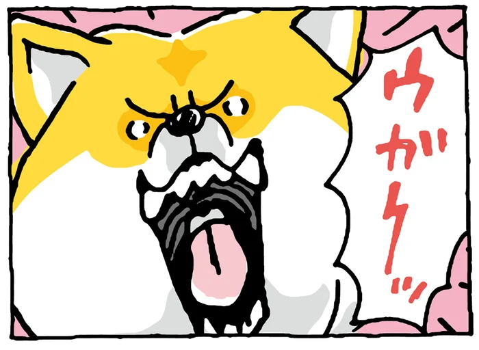 怒ってるわけじゃない!? 柴犬の「ウガーッ」／しばんばん2（6）