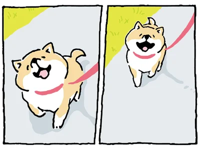 いま散歩中ですけど!? 