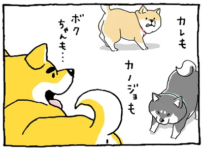 「知り合い」が多い柴犬