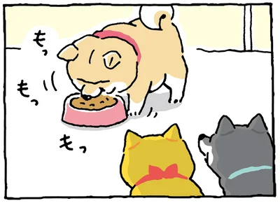 ごはん大好き