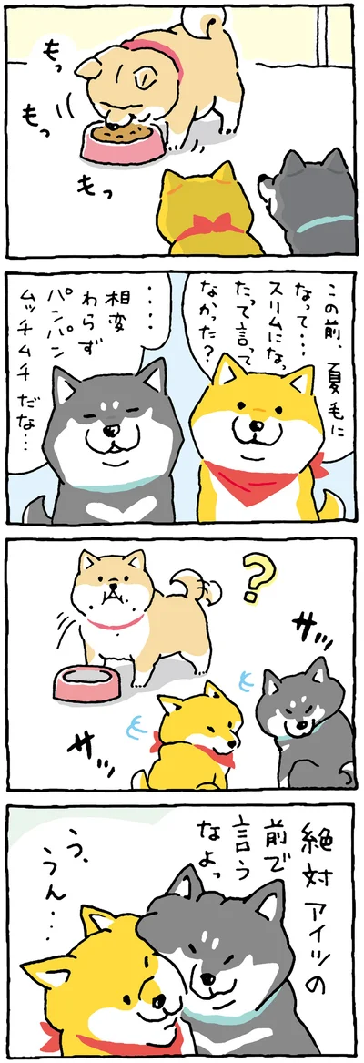 年中ムッチー